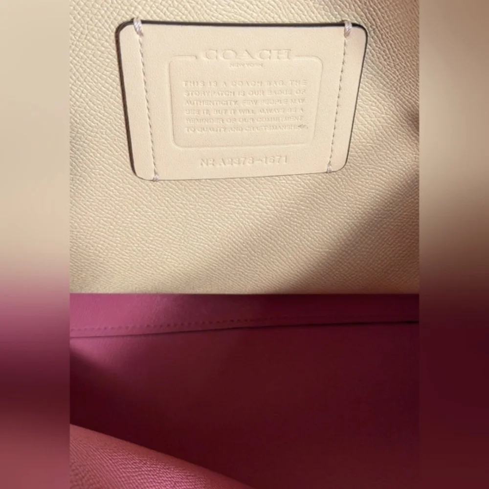 NWT! Coach Pebbled Leather Mollie (Large) Tote in PALE PISTACHIO - Picture 7 of 8